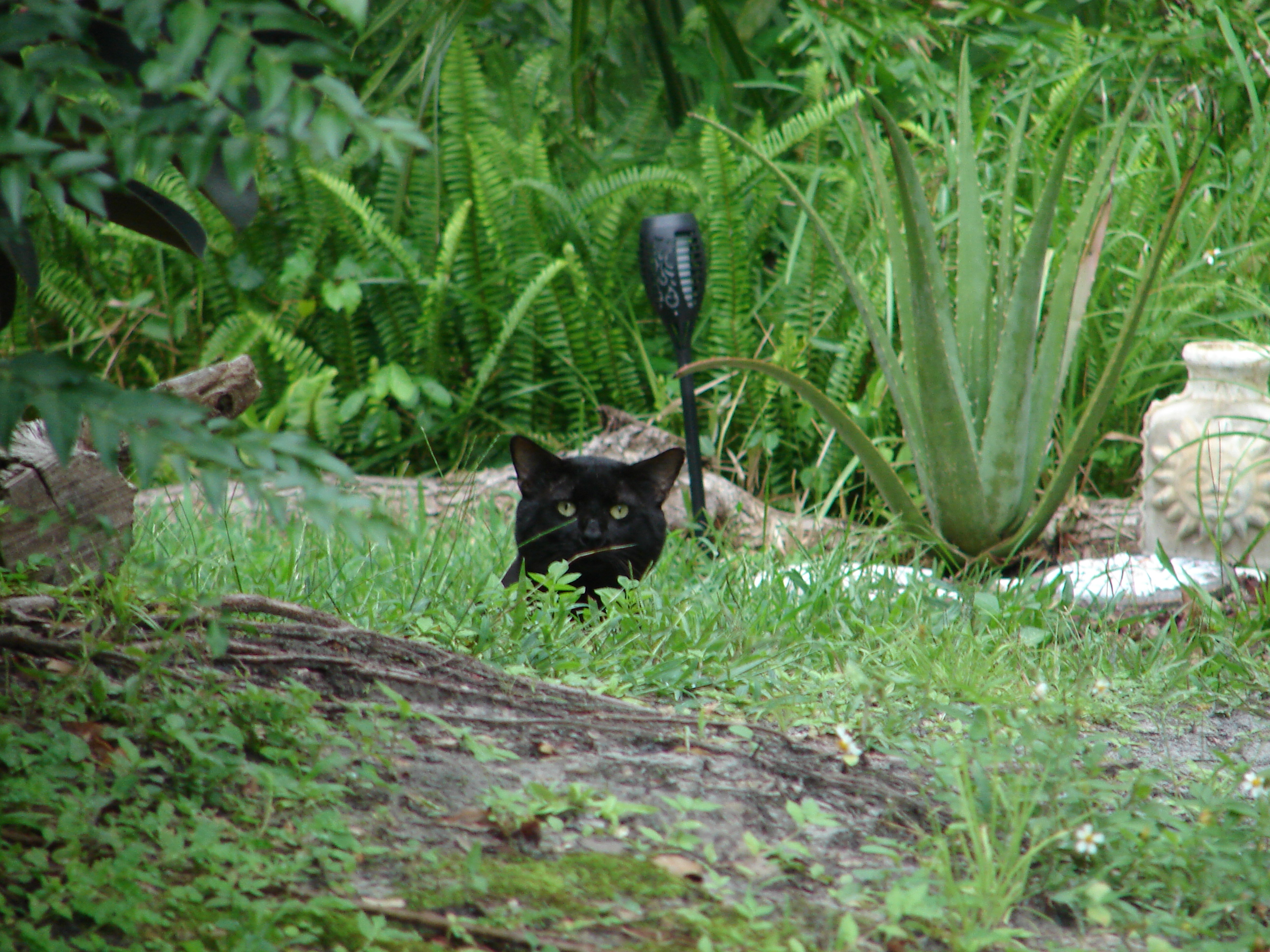 DSC00067.JPG