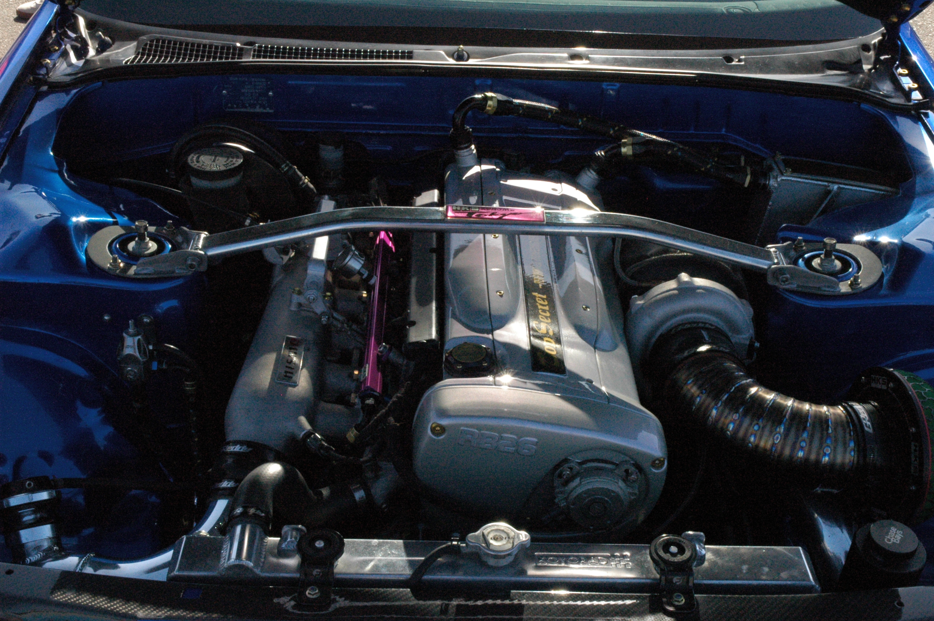 DSC_8176.JPG