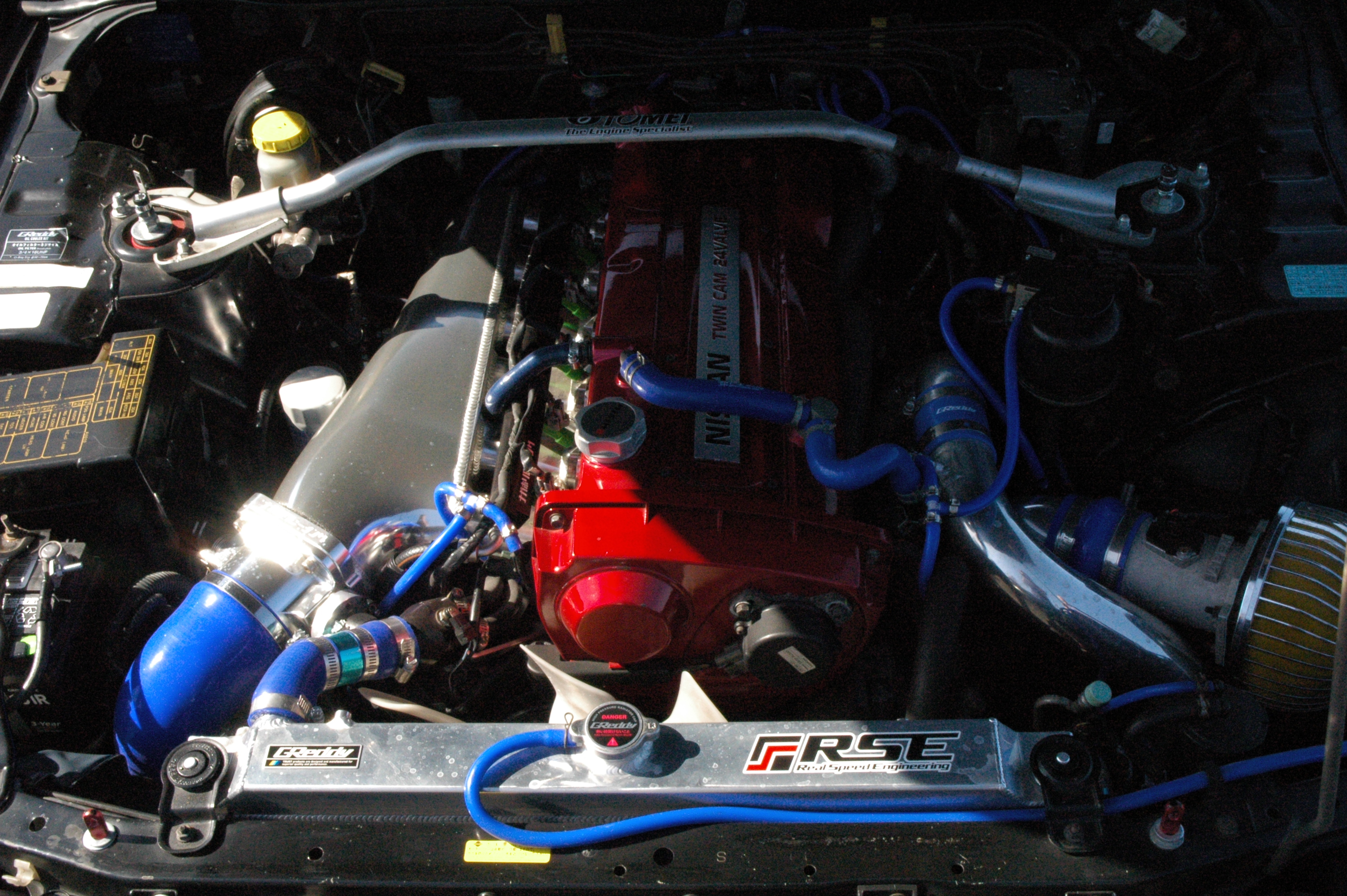 DSC_8178.JPG