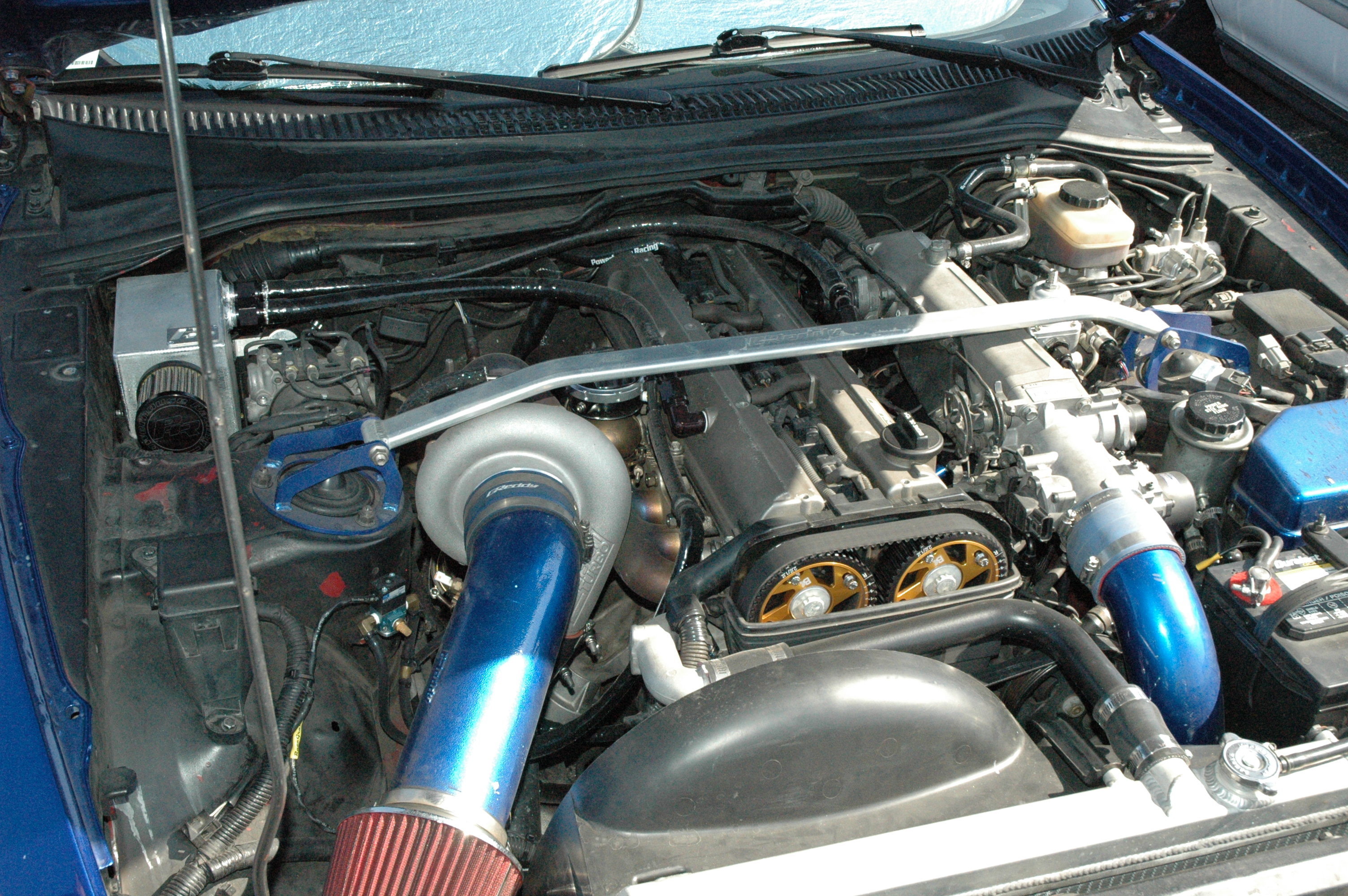 DSC_8206.JPG