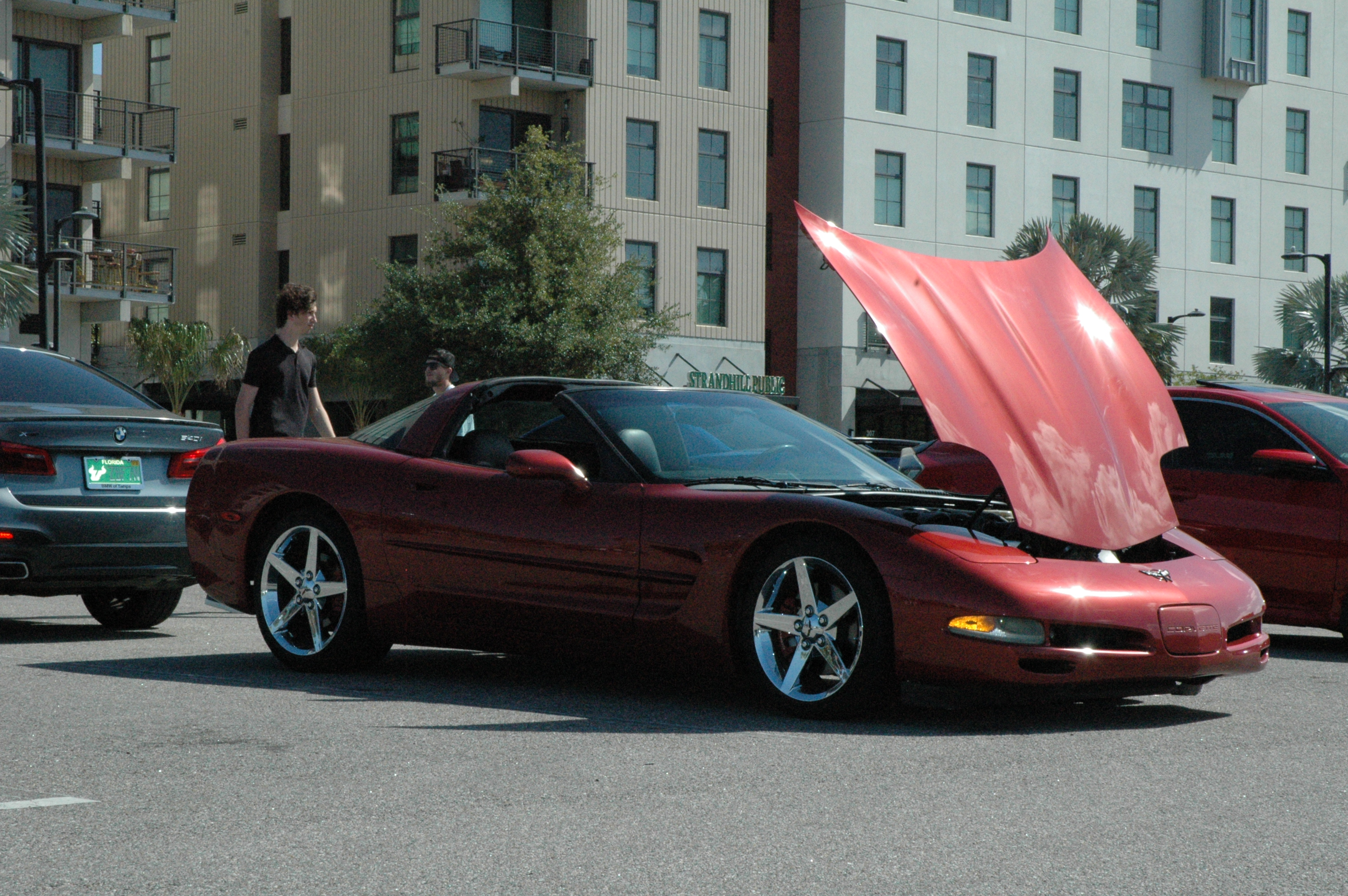 DSC_8248.JPG